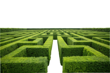 PNG Vast green hedge maze against black background