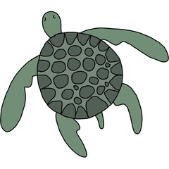 vector illustration of a turtle