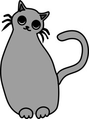 cat