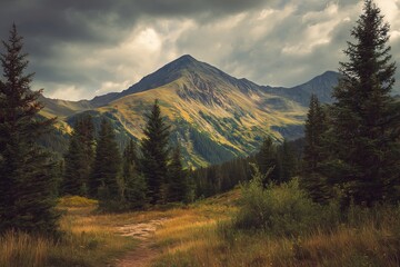 Set of floral universal artistic templates. Good for greeting cards, invitations, flyers and other graphic design. High quality