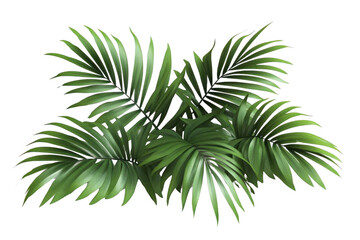 Green Palm Fronds Create Exotic Vibes With Tropical Style
