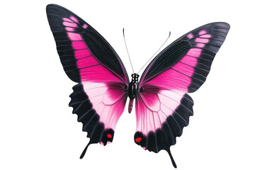 Capture Beauty, pink butterfly flutters through the air, a symbol of transformation.