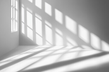 Sunlight casts shadows on a minimalist room