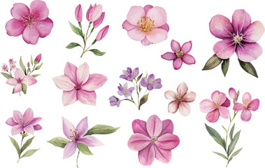 seamless pattern with pink flowers