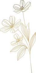 Golden Flower Lineart  Illustration