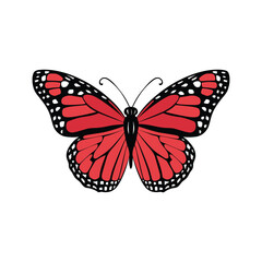 Red Monarch Butterfly Vector Illustration