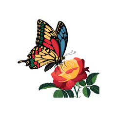 Colorful Butterfly on Red and Yellow Rose Vector Illustration