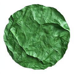 Obraz premium Fresh, vibrant green leaf vegetable. Circular, textured, and deeply veined