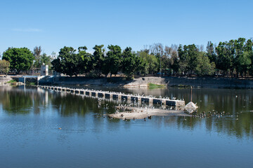 Group of birds perched on a dam above the lake at Parque Independencia El Dean in Guadalajara on a sunny day