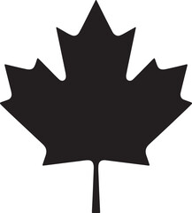 Maple leaf silhouette vector, maple leaf icon vector