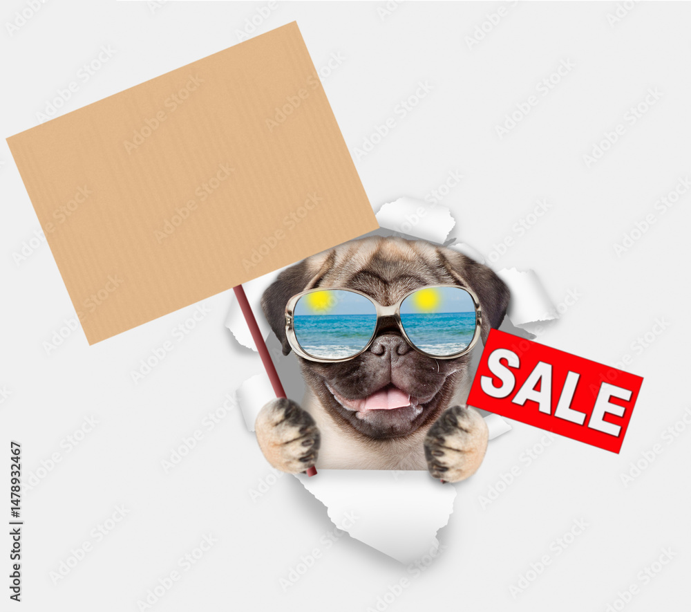 Poster funny pug puppy mirrored wearing sunglasses looking through the hole in white paper and showing sign