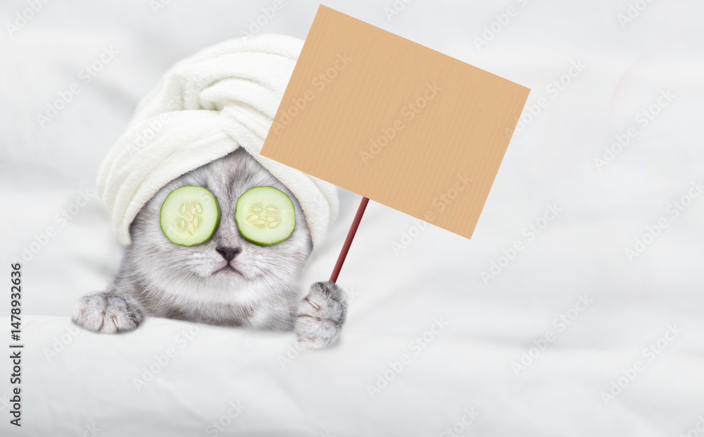 Fototapete cute kitten with towel on his head and with a pieces of cucumber on his eyes relaxing on the bed at 