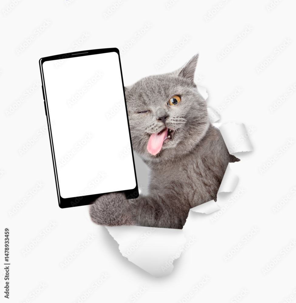 Aufkleber surprised cat with tongue out holding big smartphone with white blank screen through torn white pape