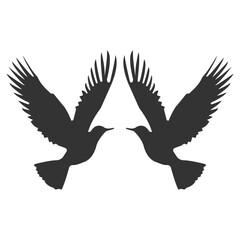 Flying Birds Silhouettes, Bird icon vector. 2 birds are fighting Silhouettes. Clip Arts, Flying Birds. Bird flying silhouette isolated on white background.