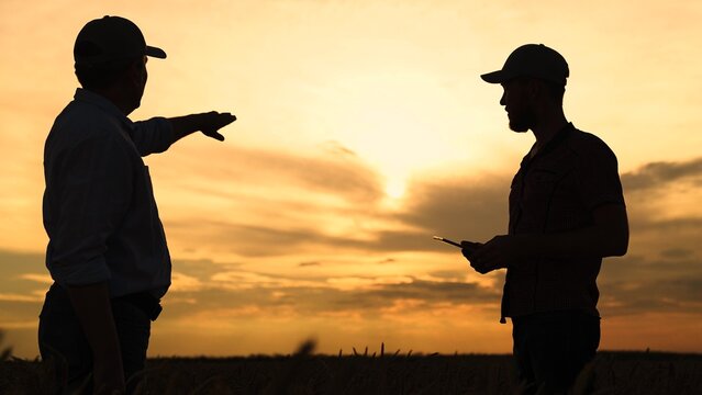 Male farmers work in team in wheat field. Business people work together. Businessmen are discussing concept of developing their business outdoors, sun. Teamwork in business. Silhouette of farmers, sky - Powered by Adobe