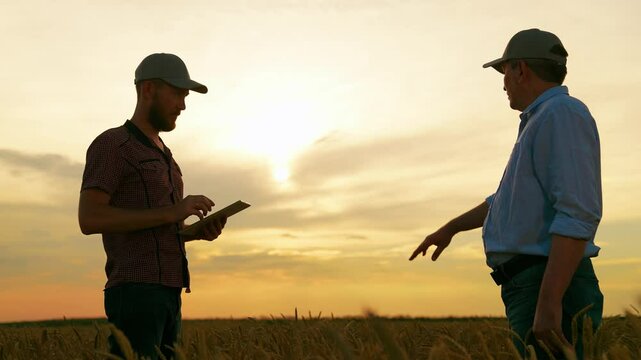 Male farmers shaking hands, wheat field. Handshake, joint work of people. Business people shake hands outdoor in sun. Business teamwork. Partners agreed concluding deal, sign of consent to shake hands