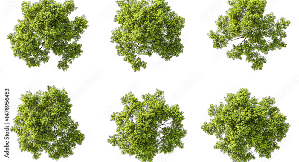 Poster six green trees isolated on a transparent background viewed from above the trees have different shap