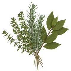 Obraz premium Fresh bundle of thyme, rosemary, and bay leaves is arranged on a black background
