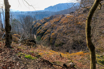 Autumn forest landscape with rocky hills and bare trees in daylight