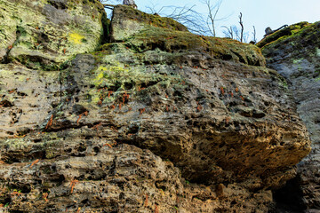 Eroded limestone cliff with moss and lichen patterns in natural environment