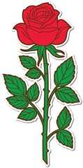 Vector illustration of rose flower. Red rose sticker