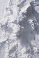 Fox Head Sculpture in White Powder Close Up Abstract Art Minimalist Style Studio Shot