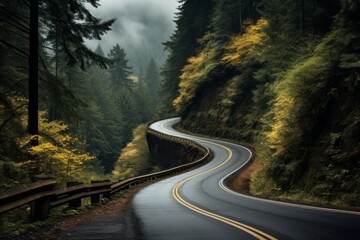 Obraz premium A winding road through a forest. Vegetation is predominantly green, with patches of yellow. Road is wet and shiny. Fog in distance.