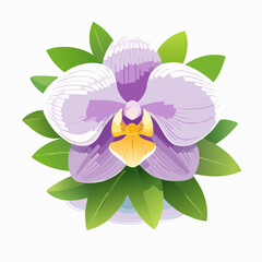 Illustration of a Purple and White Orchid Flower with Green Leaves