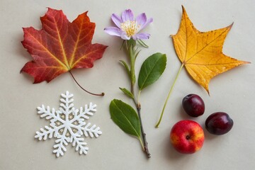 Spring Equinox Flat Lay with Blossoms, Seeds, and Natural Symbols of Renewal