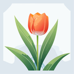 Stylized Orange and White Tulip with Green Leaves Illustration
