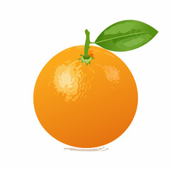 Stylized Orange Fruit with Green Leaves and Stem Illustration
