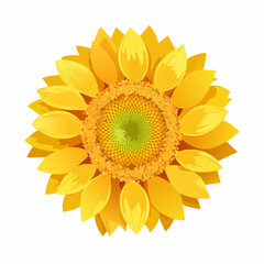 Stylized Sunflower Illustration with Yellow Petals and Green Center