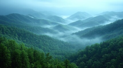 Obraz premium Misty Mountain Majesty: A Breathtaking Panorama of Rolling Hills and Verdant Forests