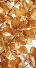 Close-up of brown autumn leaves and branches against a bright background.