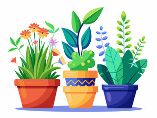 A group of three different flower pots with various plants arranged in a row. White background, clean and colorful home decor theme