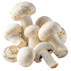 Bunch of white mushrooms isolated on white background