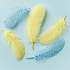 Fototapeta premium white feather on black background