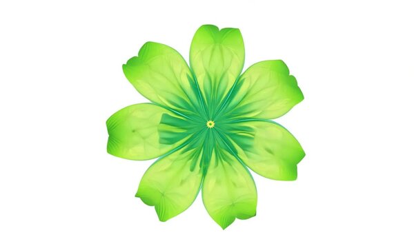 green leaf clover