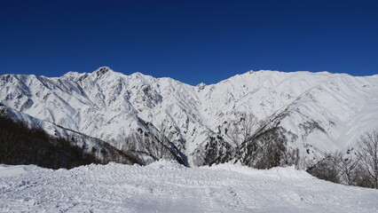 Sking at Hakuba Goryu Snow Resort, Nagano, Japan