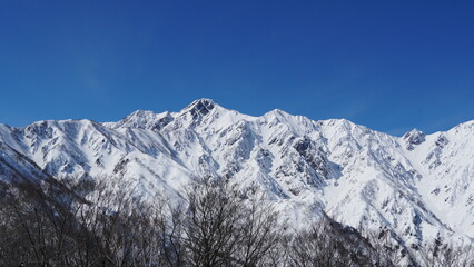 Sking at Hakuba Goryu Snow Resort, Nagano, Japan