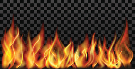 Fire flames vector on transparent background