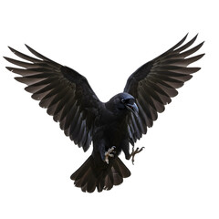 Fototapeta premium Majestic Black Raven in Flight: Stunning Image on transparent background
