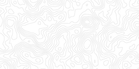 Topography background. Vector banner. Topography map background. Vector geographic contour map. Background of the topographic map. Topographic map lines, contour background. 