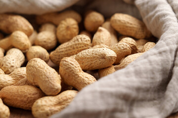 Unshelled roasted peanuts on a cloth kitchen napkin. Nutritious organic nuts. 