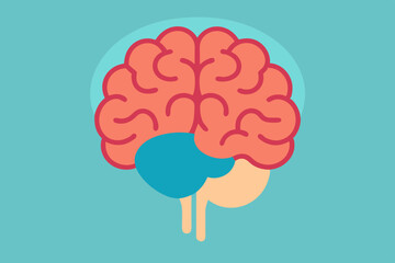 vector illustration of human brain, brain vector template
