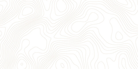 topographic map background, geographic line map with elevation assignments. Modern design with White background with topographic wavy pattern design. paper texture Imitation of a geographical map.