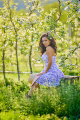 portrait of a beautiful woman in a dress sitting on a bench in a blooming apple orchard with a blurred background