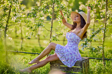 portrait of a beautiful woman in a dress sitting on a bench in a blooming apple orchard with a...