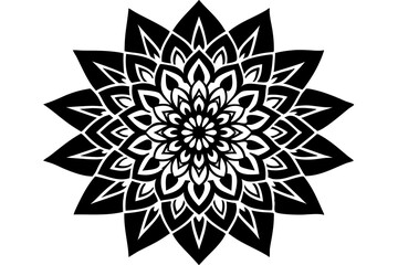 Elegant monochromatic snowflakes and abstract floral patterns