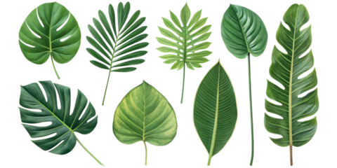 Collection of ornamental topiary trees in decorative pots with various geometric shapes cut out isolated Transparent PNG Elements